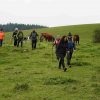 09 b Schluchensteig Etappe 4 - 6